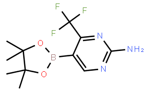 2-氨基-4-三氟嘧啶-5-硼酸頻哪醇酯