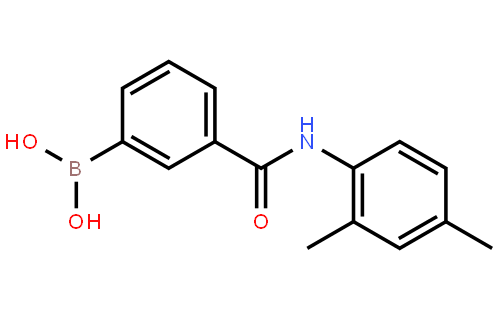 3-(2,4-Dimethylphenylcarbamoyl)phenylboronic acid
