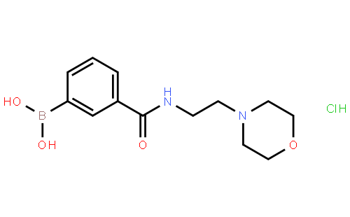 (3-((2-Morpholinoethyl)carbamoyl)phenyl)boronic acid hydrochloride