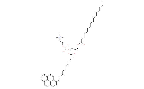 1-PALMITOYL-2-(PYRENE-1-YL)DECANOYL-SN-GLYCERO-3-PHOSPHOCHOLINE