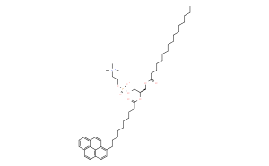 β-Py-C<sub>10</sub>-HPC  [1-Hexadecanoyl-2-(1-Pyrenedecanoyl)-sn-Glycero-3-Phosphocholine]