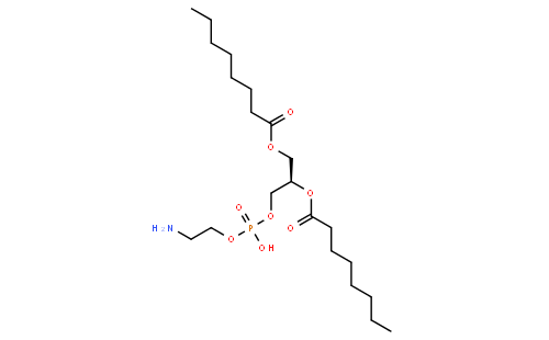 1,2-dioctanoyl-sn-glycero-3-phosphoethanolamine