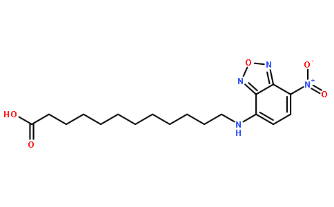 NBD-C12 acid [12-(7-Nitrobenzofurazan-4-ylamino)dodecanoic acid]