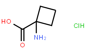 1-氨基-1-環(huán)丁基羧酸鹽酸鹽