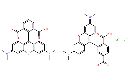 5(6)-Carboxytetramethylrhodamine
