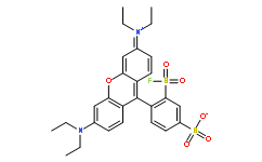 磺基罗丹明B2-酰氟