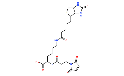 N-(3-MALEIMIDOPROPIONYL)BIOCYTIN