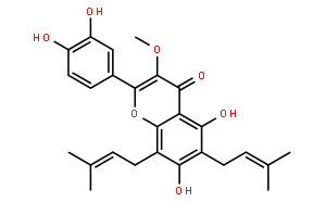 楮樹(shù)黃酮醇B