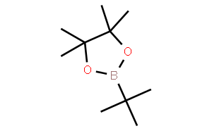 叔丁基硼酸頻那醇酯