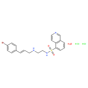 H 89 2HCl