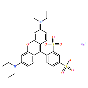 磺酰羅丹明B *熒光參照標準*