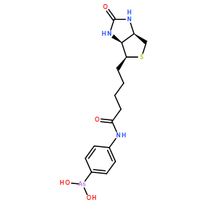 (4-(5-((3aS,4S,6aR)-2-oxohexahydro-1H-thieno[3,4-d]imidazol-4-yl)pentanamido)phenyl)arsinic acid