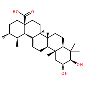 科羅索酸