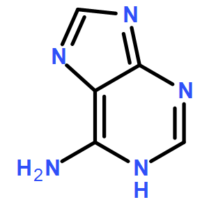 Adenine 腺嘌呤