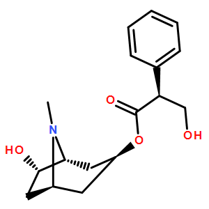 消旋山莨菪碱