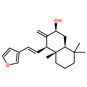二羟丙茶碱A