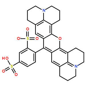 磺酰羅丹明101 *熒光參照標準*