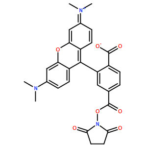 6-TAMRA, SE [6-羧基四甲基羅丹明琥珀酰亞胺酯] *單體*