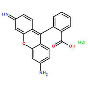 羅丹明110*熒光參照標準*
