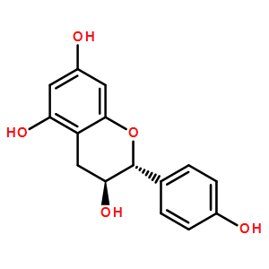 阿夫儿茶精