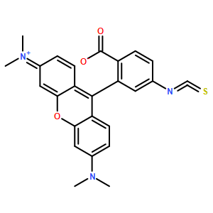 6-TRITC; R 異構(gòu)體 [四甲基羅丹明-5-異硫氰酸]