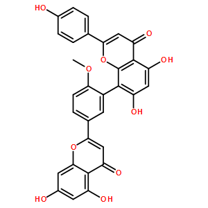 白果双黄酮