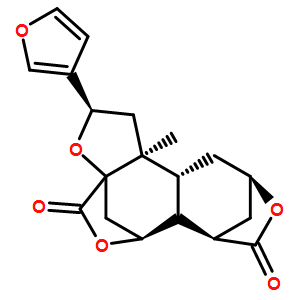 黃獨素B