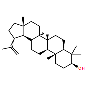 羽扇豆醇