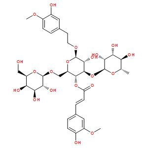 焦地黄苯乙醇甙B1