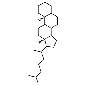 5α-胆甾烷