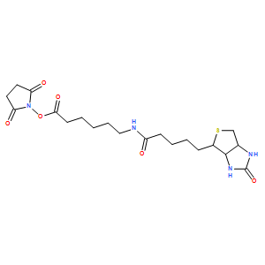 NHS-LC-Biotin