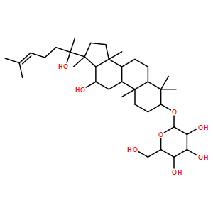 20(R)-人参皂苷RH2