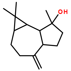 桉油烯醇
