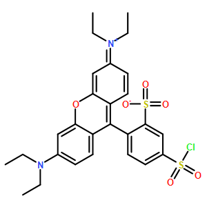 麗絲胺堿性蕊香紅B磺酰氯 [磺基羅丹明B磺酰氯]