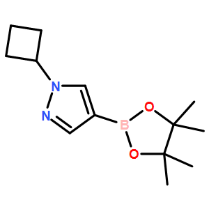 1-Cyclobutyl-4-(4,4,5,5-tetraMethyl-1,3,2-dioxaborolan-2-yl)-1H-pyrazole