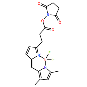 Pyrromethene FL, 琥珀酰亞胺酯