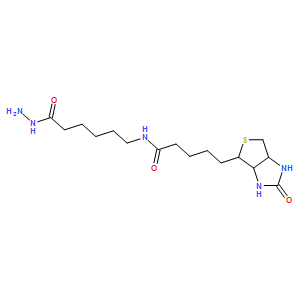 生物素 酰肼