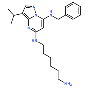 N5-(6-aminohexyl)-N7-benzyl-3-isopropylpyrazolo[1,5-a]pyrimidine-5,7-diamine hydrochloride