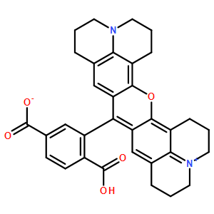 6-ROX[6-羧基-X-羅丹明] *單體*