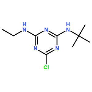 特丁津(标准品)