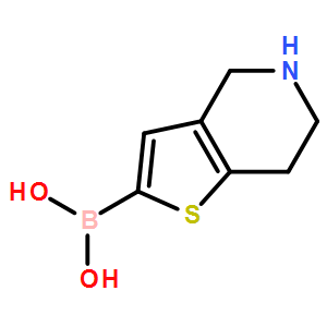 4,5,6,7-TETRAHYDROTHIENO[3,2-C]PYRIDIN-2-YLBORONICACID