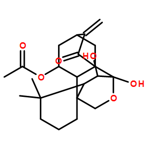 长管贝壳杉素 E