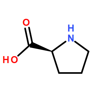 L-脯氨酸