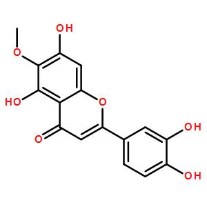 泽兰黄酮