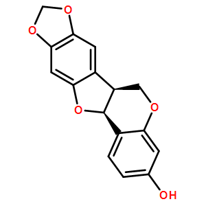 马卡因