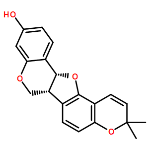 菜豆蛋白