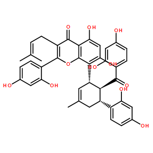 桑黄酮G；桑根酮C
