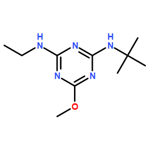 特丁通(标准品)