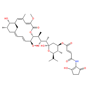 巴佛洛霉素/B1