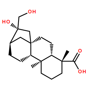 等效-16beta,17-二羟基-19-异贝壳杉烷酸